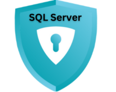 Albany Backups Microsoft SQL Server Backup (500gb)